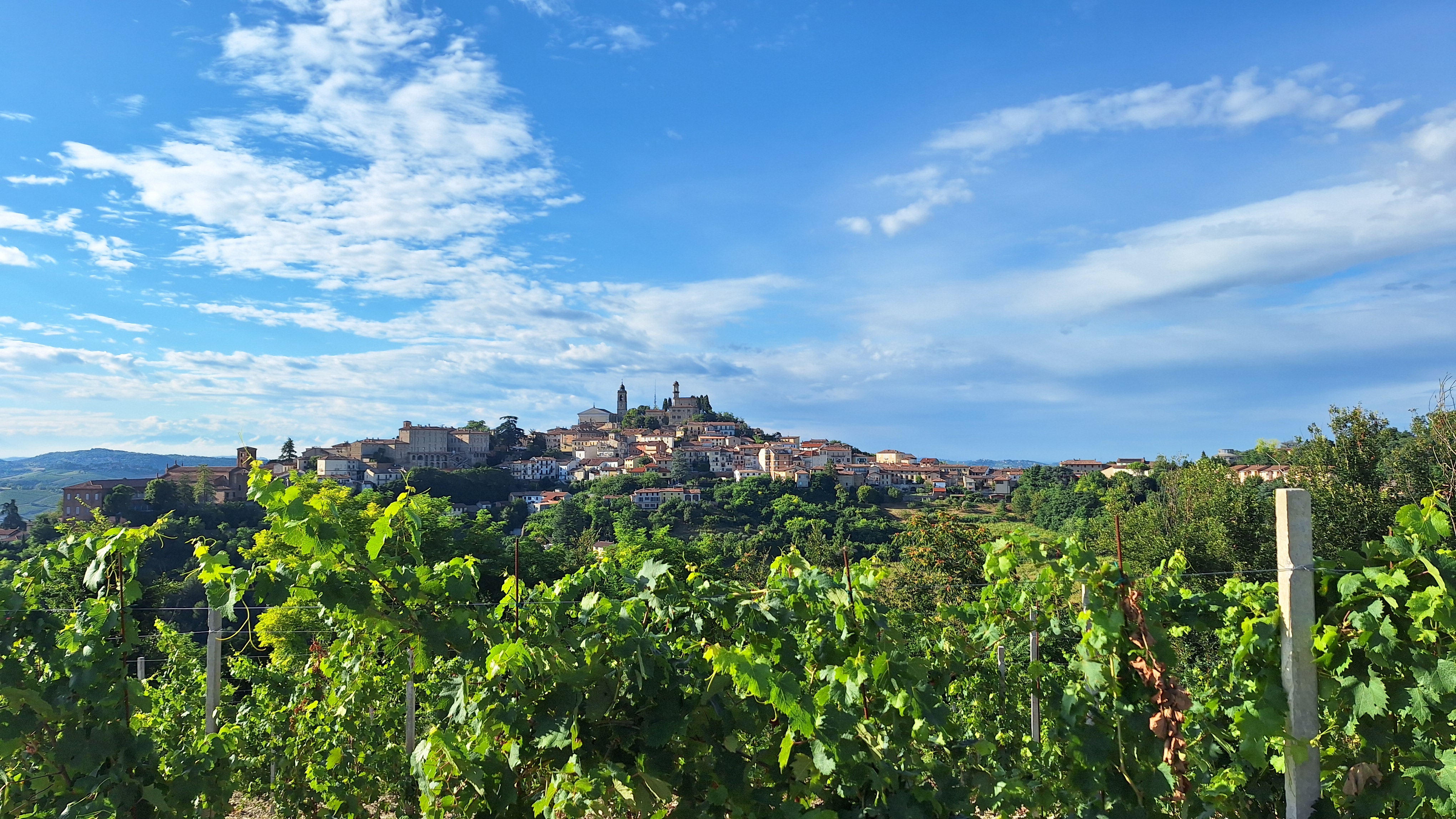 Monferrato 4 International (AIIMF)